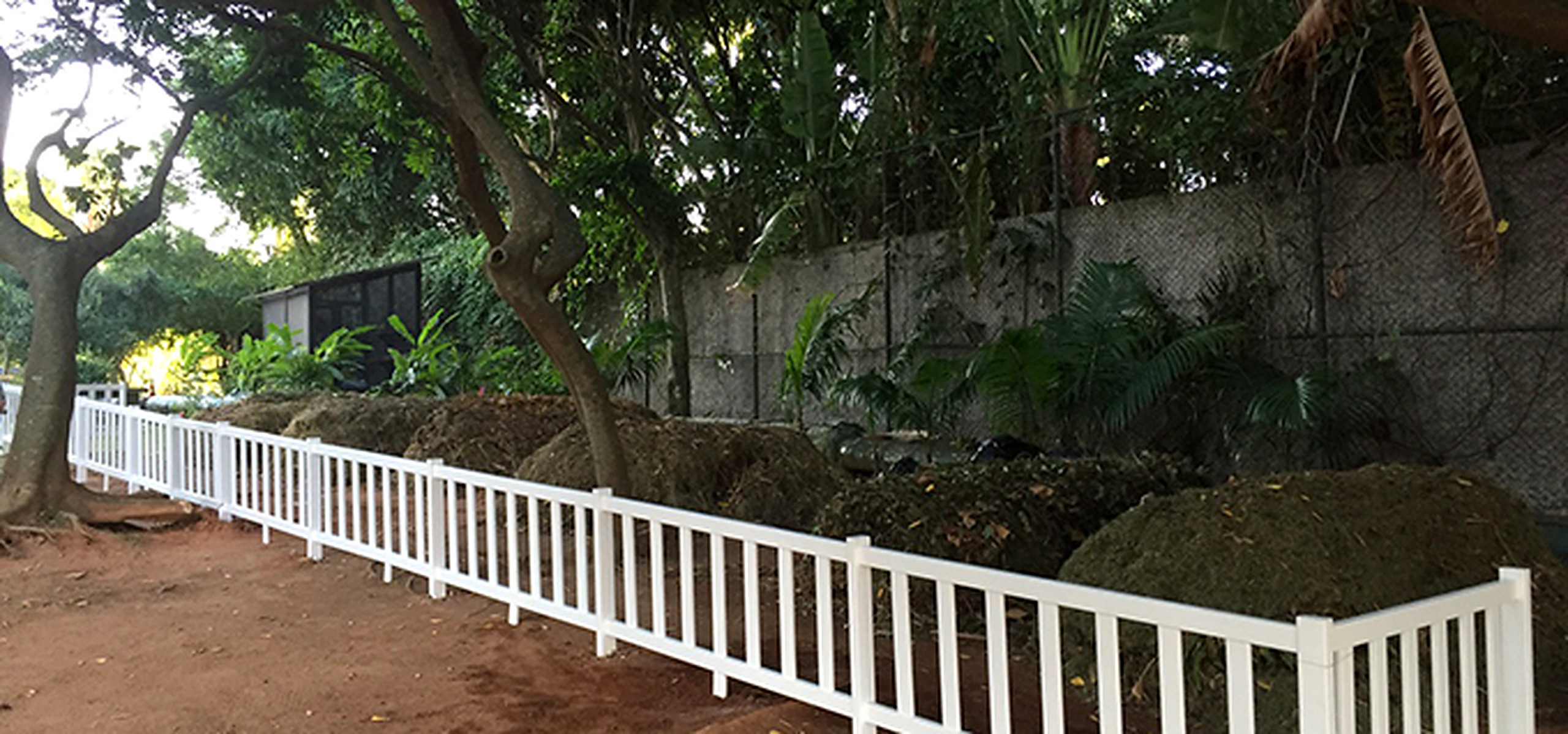 Registro histórico da área de compostagem do CEMHS, com canteiros, árvores e cercamento branco